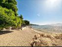Apartments Mira - 10 m from beach: SA3(2), SA4(2), A5(2+2) Zaostrog - Riviera Makarska  - beach