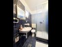 Apartments Mira - 10 m from beach: SA3(2), SA4(2), A5(2+2) Zaostrog - Riviera Makarska  - Apartment - A5(2+2): bathroom with toilet