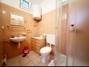 Apartments Tomo - 10 m from beach: A1(2+2), SA2(2) Zaostrog - Riviera Makarska  - Apartment - A1(2+2): bathroom with toilet