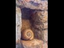 Holiday home Stone - pool house: H(4) Babino Polje - Island Mljet  - Croatia - H(4): detail