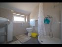 Apartments Andri - 100 m from sea: A1(4+2) Murter - Island Murter  - Apartment - A1(4+2): bathroom with toilet