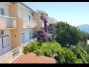 Apartments Nina - sea view family apartments SA1A(3), A1Donji(2+1), A3(6), A4(4+1), A5(6), A6(4) Celina Zavode - Riviera Omis  - house