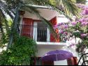 Apartments Nasta - 10 m from beach: A1(2+2), SA2(2), SA3(2) Omis - Riviera Omis  - Studio apartment - SA3(2): balcony (house and surroundings)
