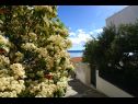 Apartments Lile - comfortable 3 bedroom apartment: A1(6+2) Pisak - Riviera Omis  - courtyard (house and surroundings)