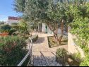 Holiday home Anita - with pool : H(8+2) Viganj - Peljesac peninsula  - Croatia - courtyard