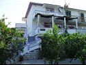 Apartments Pavilion - beautiful garden & comfortable: A1(5) Kampor - Island Rab  - house