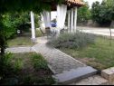 Apartments Pavilion - beautiful garden & comfortable: A1(5) Kampor - Island Rab  - garden (house and surroundings)