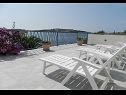 Holiday home Igor -10 m from beach : H(5) Rogoznica - Riviera Sibenik  - Croatia - house