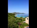 Apartments Njoko - sea view & private parking: A1(2+2), A2(3+2) Sepurine (Island Prvic) - Riviera Sibenik  - view (house and surroundings)