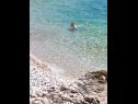 Holiday home Spark - 100 m from sea: H(4+2) Zecevo - Riviera Sibenik  - Croatia - beach