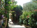 Apartments Marija - 120 m from the beach : A1(4+1), SA3(2) Podstrana - Riviera Split  - garden