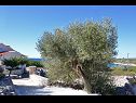 Holiday home Željko - sea view H(4+2) Drvenik Mali (Island Drvenik Mali) - Riviera Trogir  - Croatia - detail (house and surroundings)