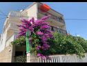 Apartments Per - 80 m from beach: SA2(2+1), A5(3), A6(2+1), A45(8), SA3(3), A7(2+1) Marina - Riviera Trogir  - house
