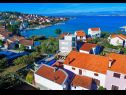 Apartments Sora - 80 m from sea: A1(2+1), A2(4+2) Preko - Island Ugljan  - vegetation (house and surroundings)