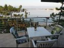 Apartments Ljilja - 10m from the sea with parking: A2(2+2), A3(2+2), A4(12) Nin - Zadar riviera  - terrace