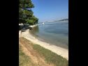 Apartments Andy - only 50 m from beach: A1(3+1), A2(2+1), SA1(2) Sukosan - Zadar riviera  - beach