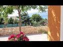 Holiday home Anamaria - sea and mountain view: H(3+2) Vinjerac - Zadar riviera  - Croatia - courtyard