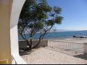 Apartments Stjepan- 10 m from beach A1 prizemlje desno(2+2), A2 prizemlje lijevo(2+2), A3 1.kat lijevo(2+2) Vir - Zadar riviera  - Apartment - A1 prizemlje desno(2+2): sea view